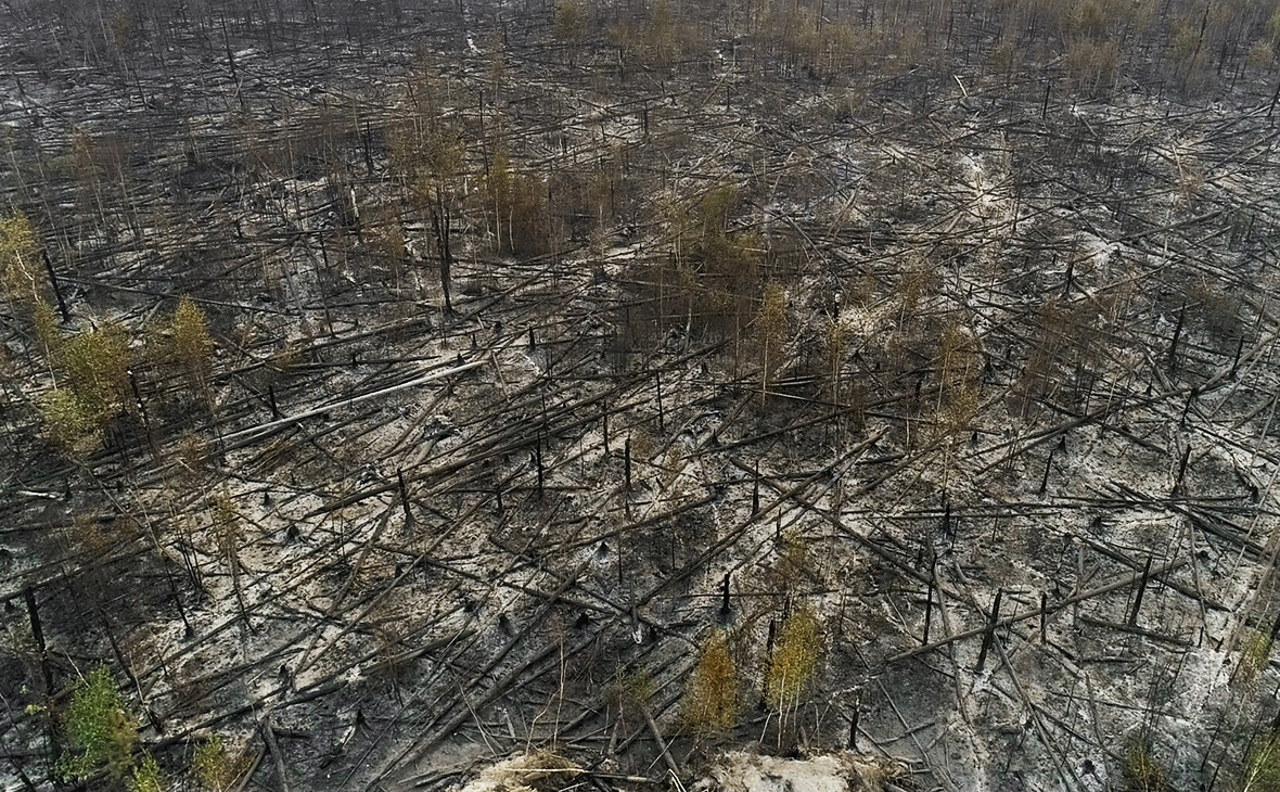 Виталий Белоусов / РИА Новости