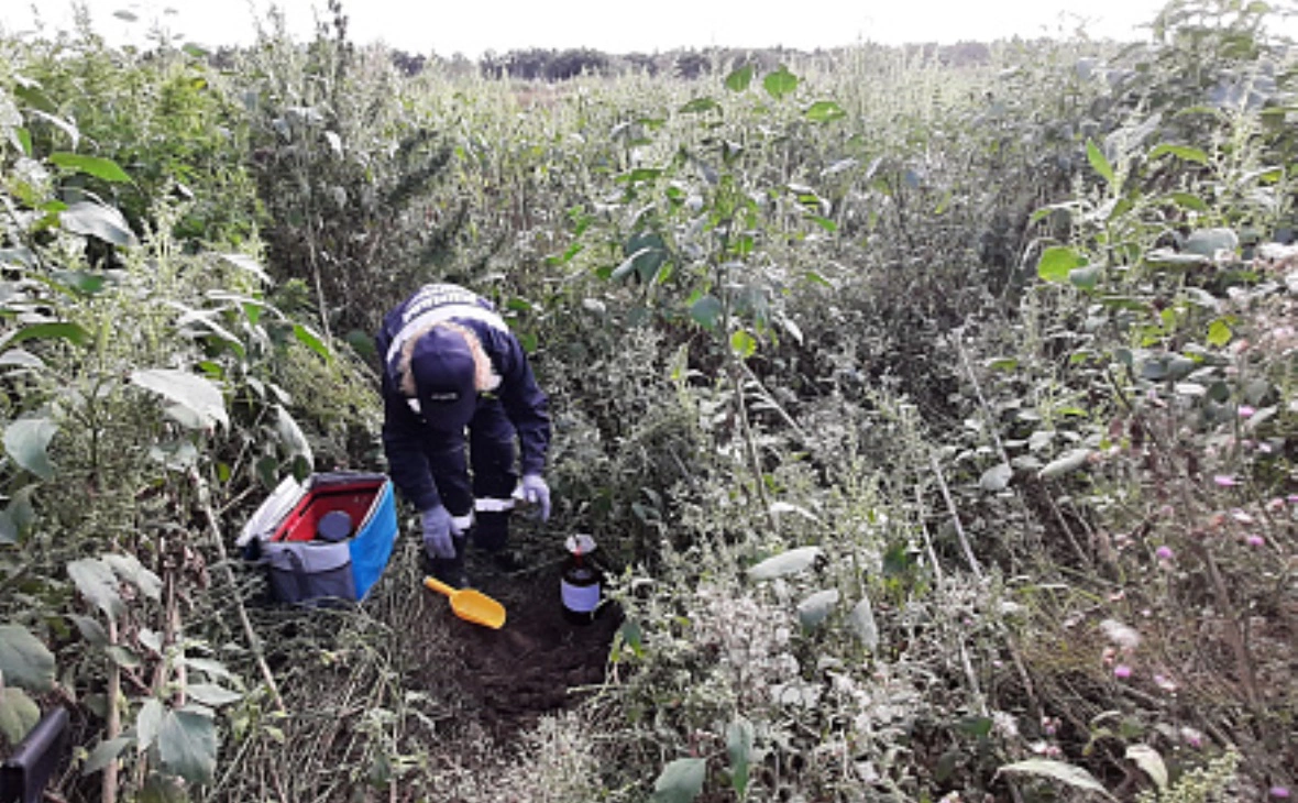 официальный сайт Центрально-Черноземного межрегионального управления Росприроднадзора