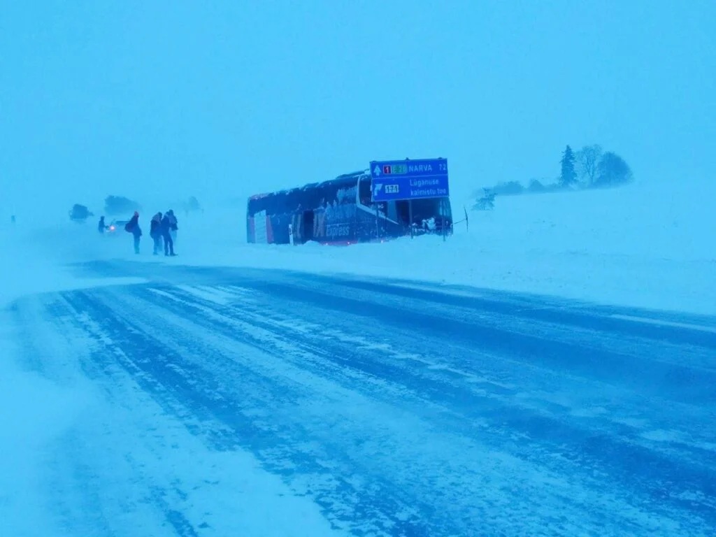 Фото: Дмитрий Богданов