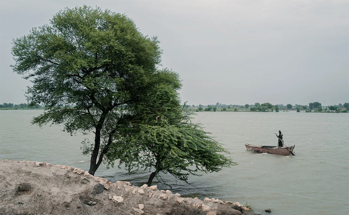 Elke Scholiers / Getty Images