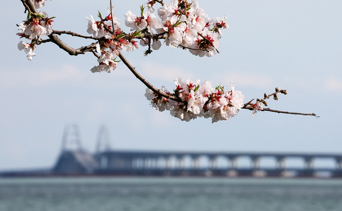 Сергей Мальгавко / ТАСС