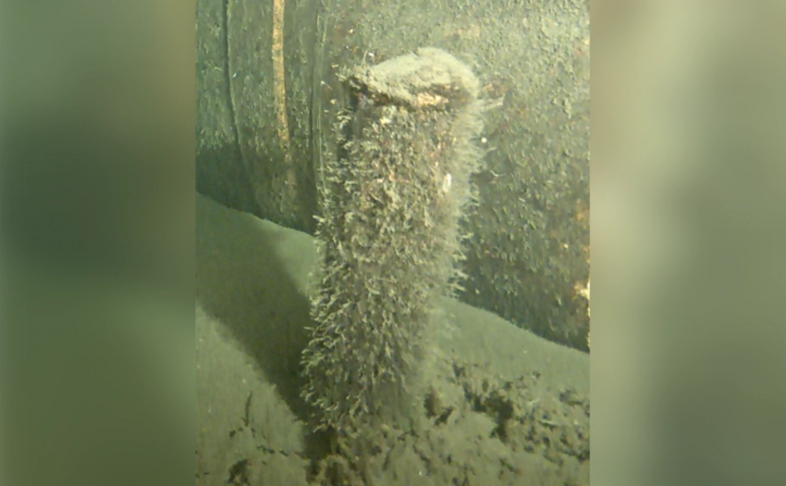 Министерство обороны Дании