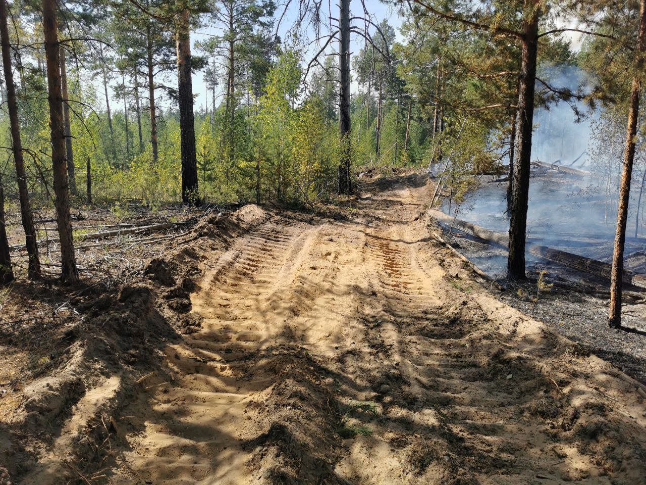 В лесах Нижегородской области начался пожароопасный сезон