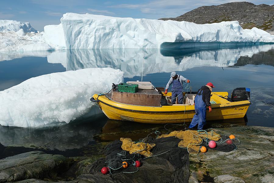 Фото: Sean Gallup / Getty Images