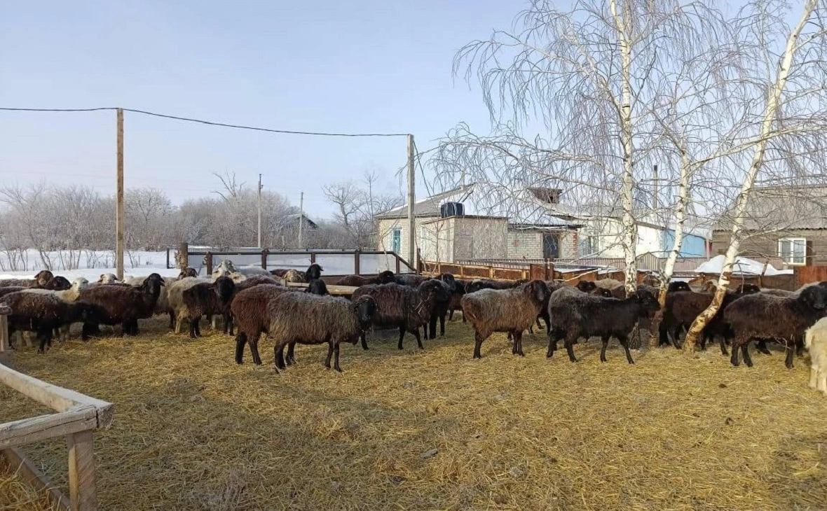 Минсельхоз Омской области