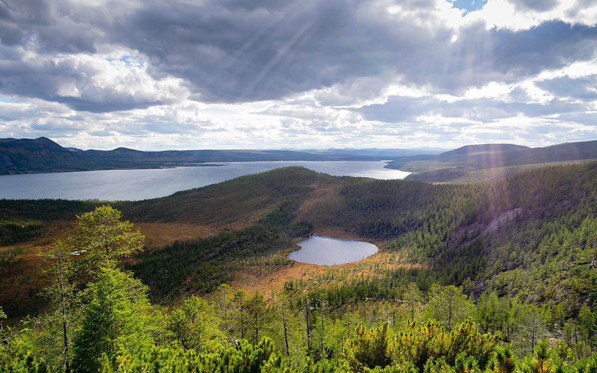 Фото: Bastrik / Shutterstock / FOTODOM