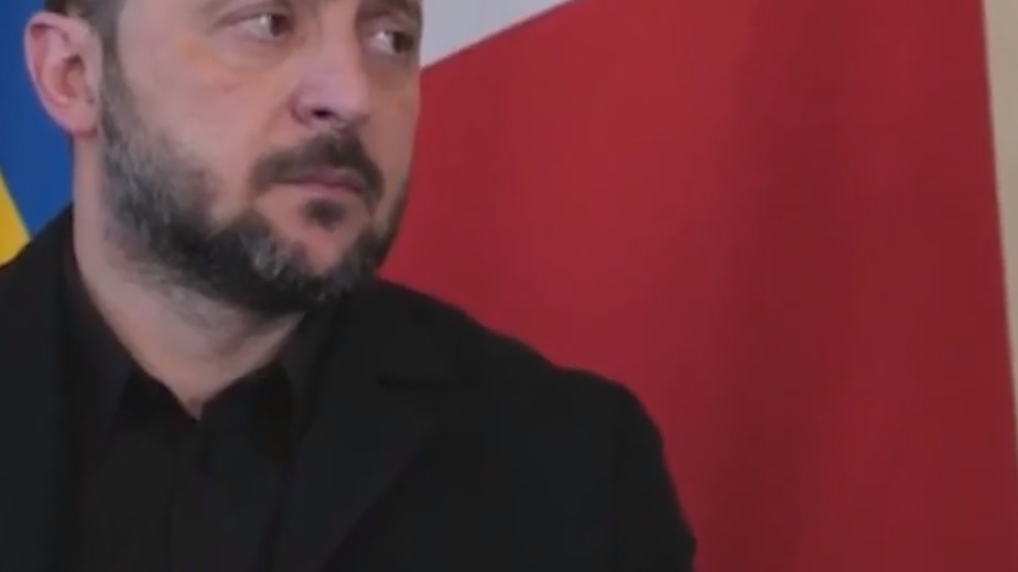 Мерц усомнился в части пунктов мирного плана США