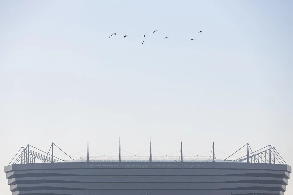 Александр Подгорчук