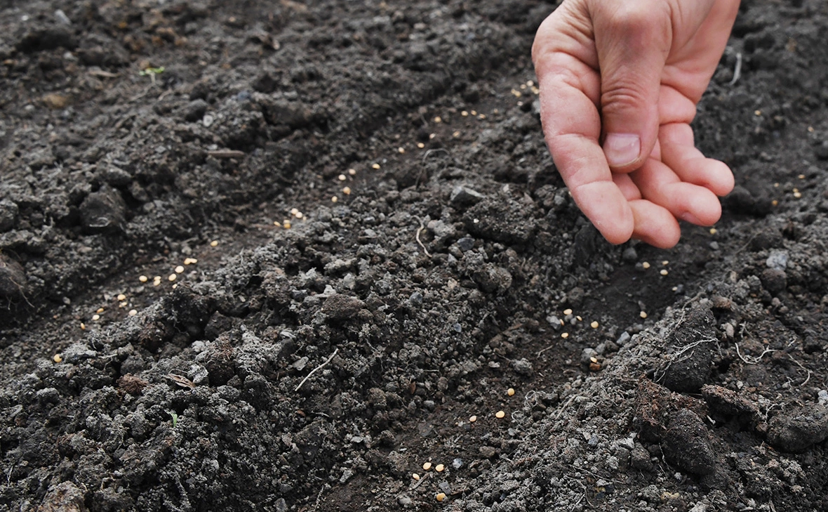 Виталий Аньков / РИА Новости