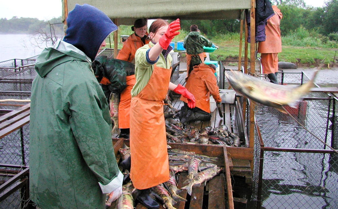 Александр Архипов / Global Look Press