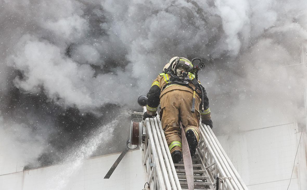 Фото: Алексей Белкин / NEWS.ru / РБК