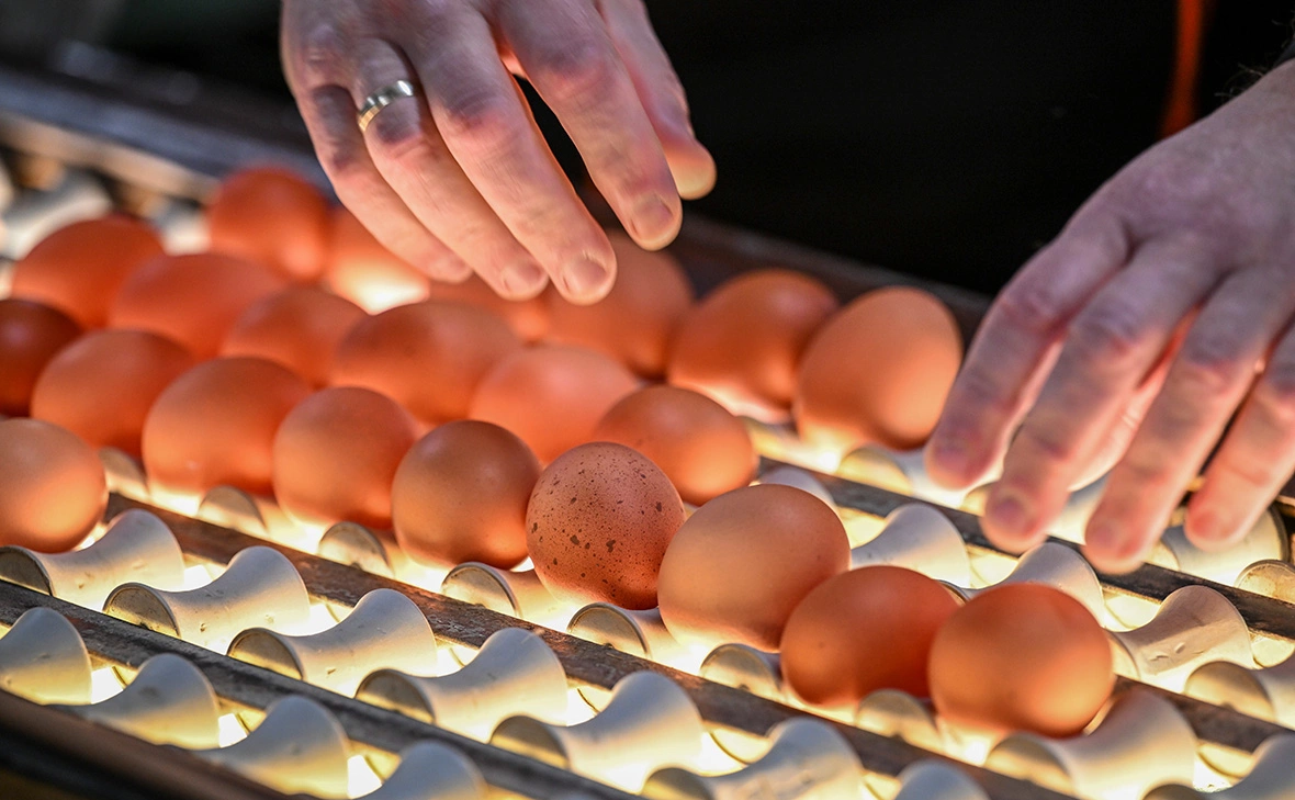 Jens Kalaene / dpa / Global Look Press