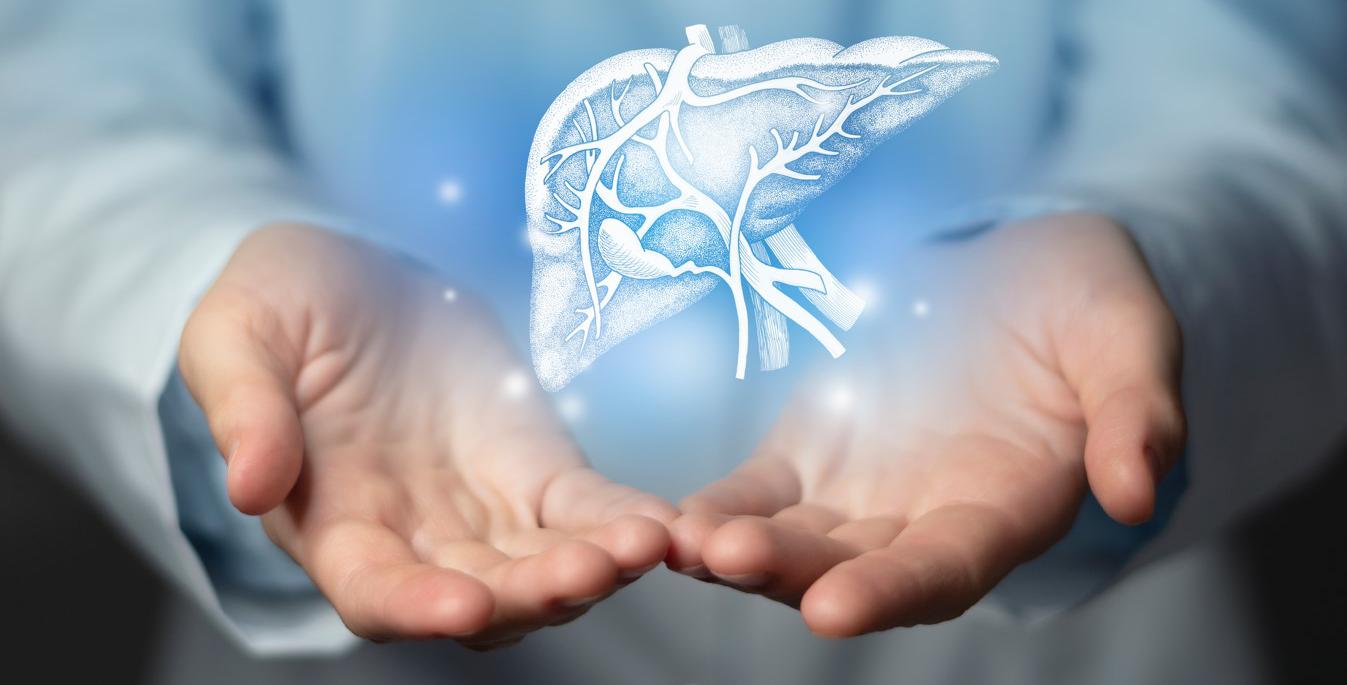 Фото: Shutterstock