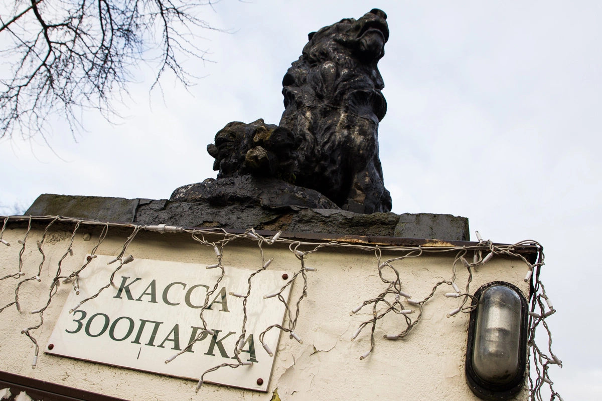 Александр Подгорчук