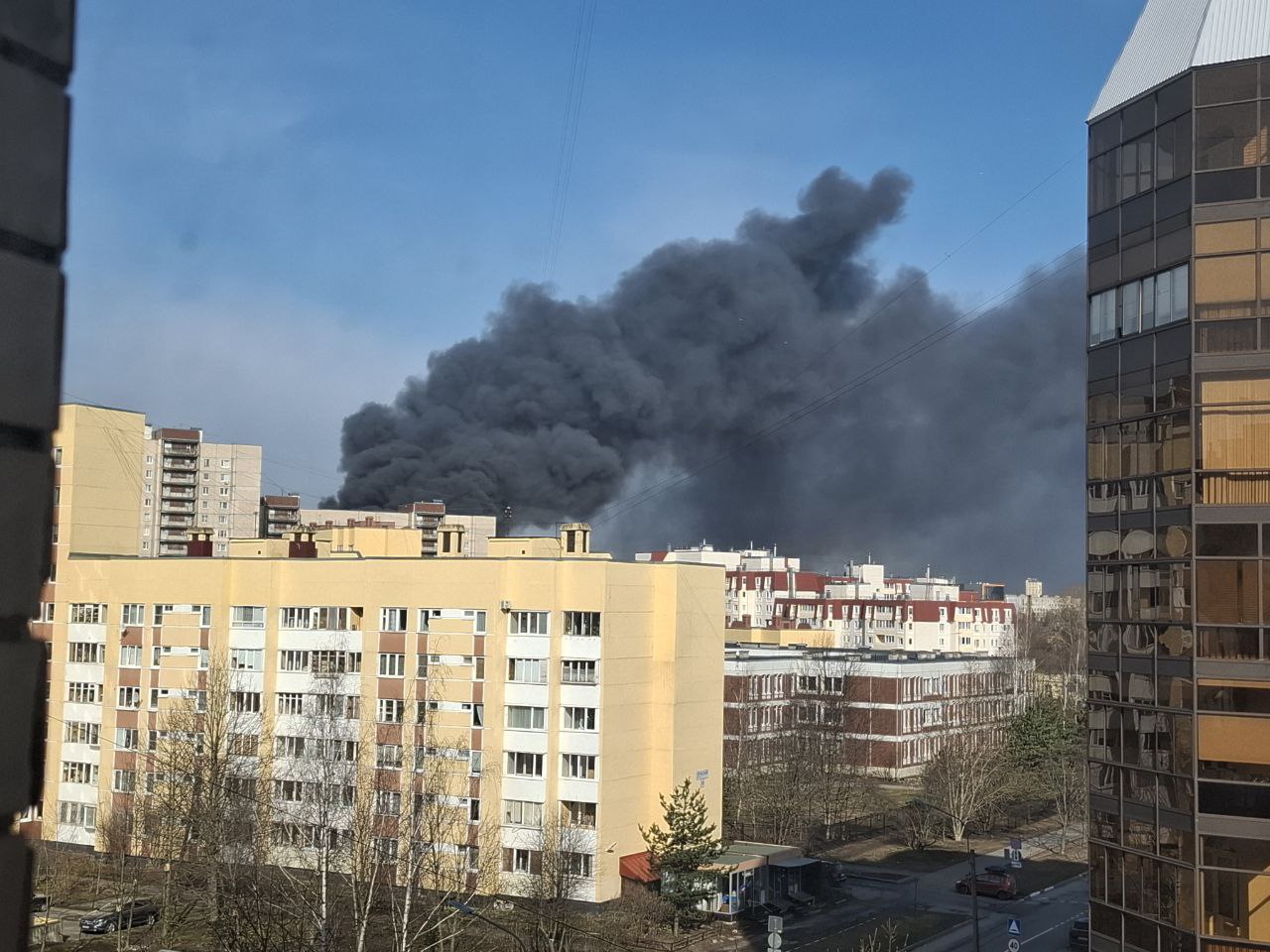 Фото: РБК Петербург