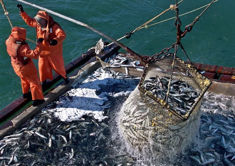 Объединенная пресс-служба Росрыболовства