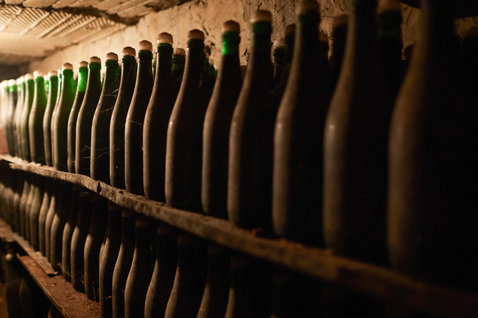 Ставропольская винодельня вложит в развитие 2 млрд руб.