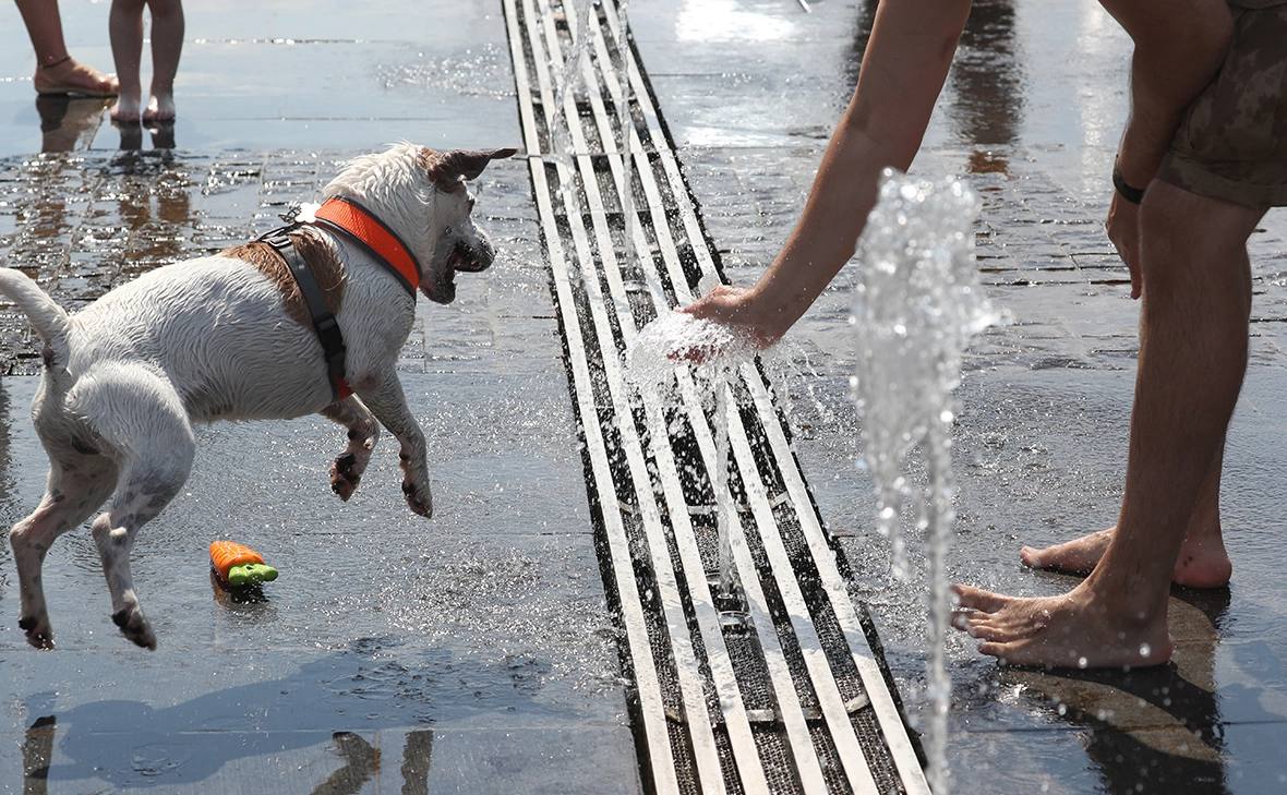 Андрей Любимов / РБК