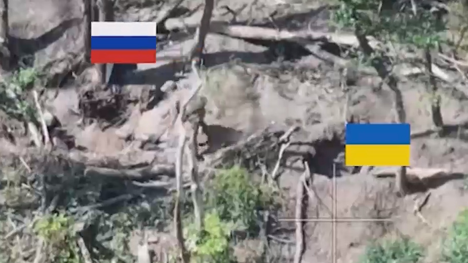 Минобороны показало видео боев за Серебрянское лесничество