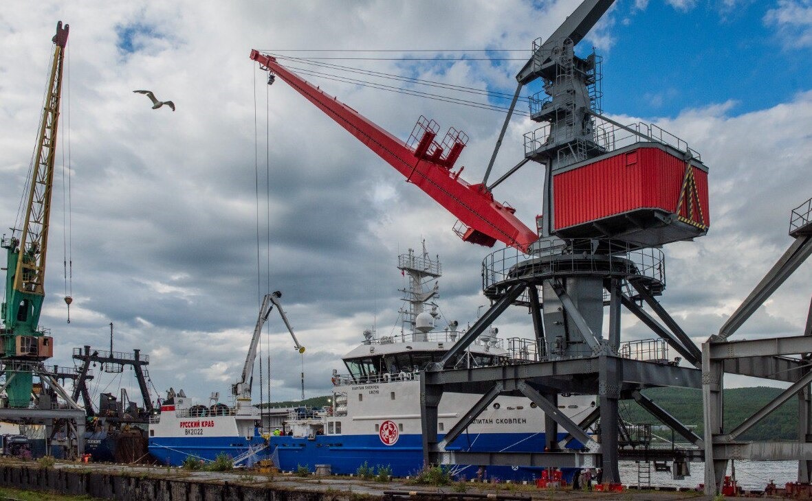 Фото: АО «Мурманский морской рыбный порт»/ t.me