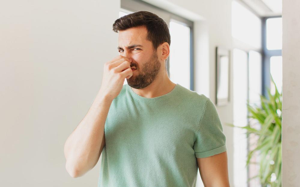 Фото: Shutterstock