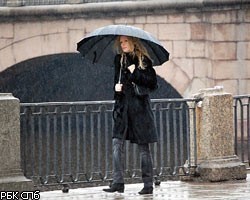 Погода в Петербурге: выходной будет пасмурным и дождливым