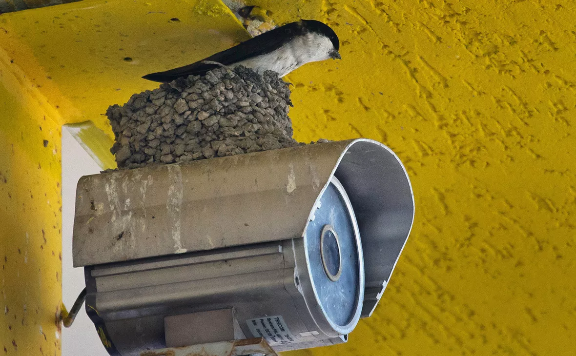 Сергей Мальгавко / ТАСС