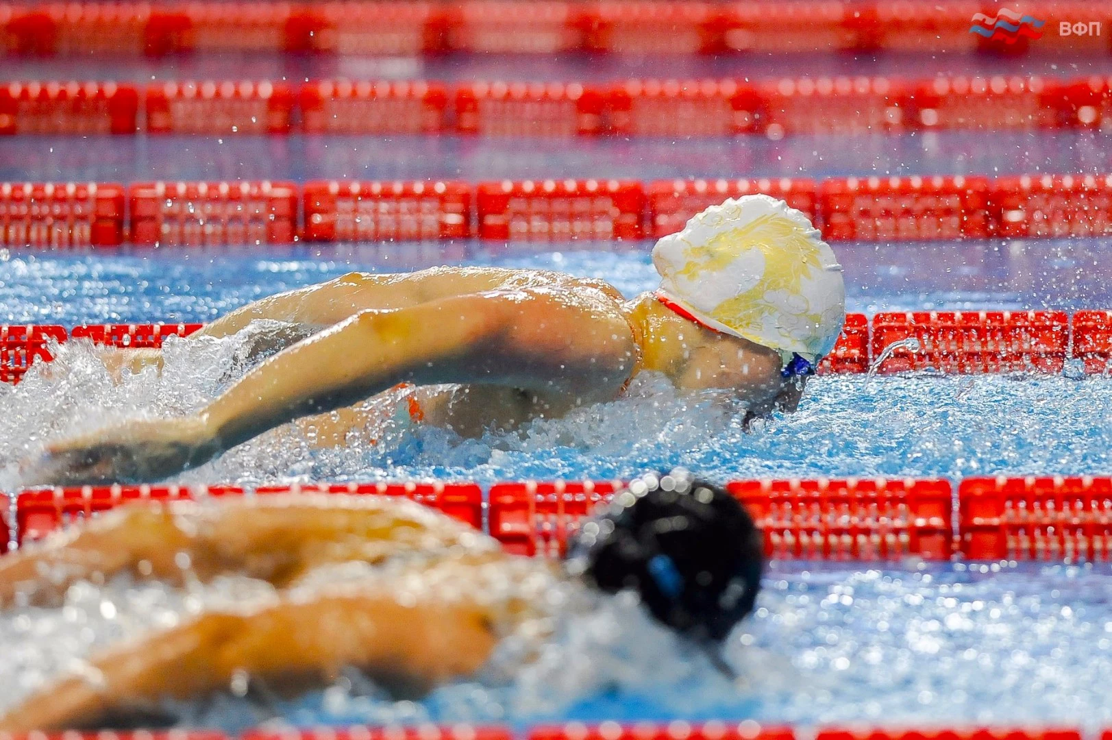 пресс-центр Всероссийской федерации плавания 