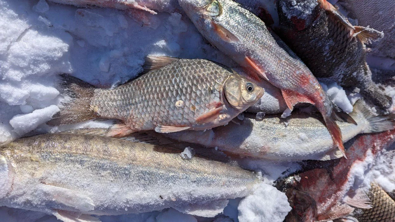 РБК Приморье