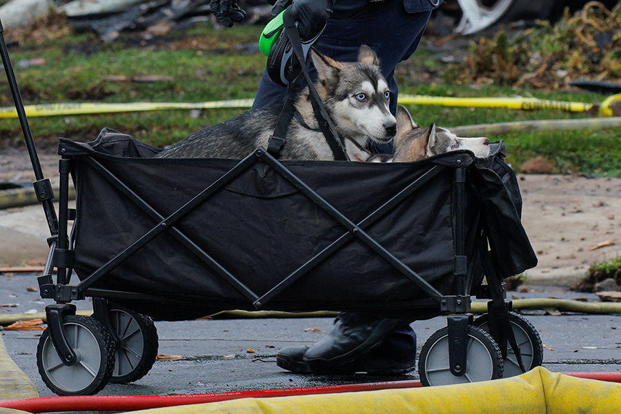 Фото: Mike Blake / Reuters
