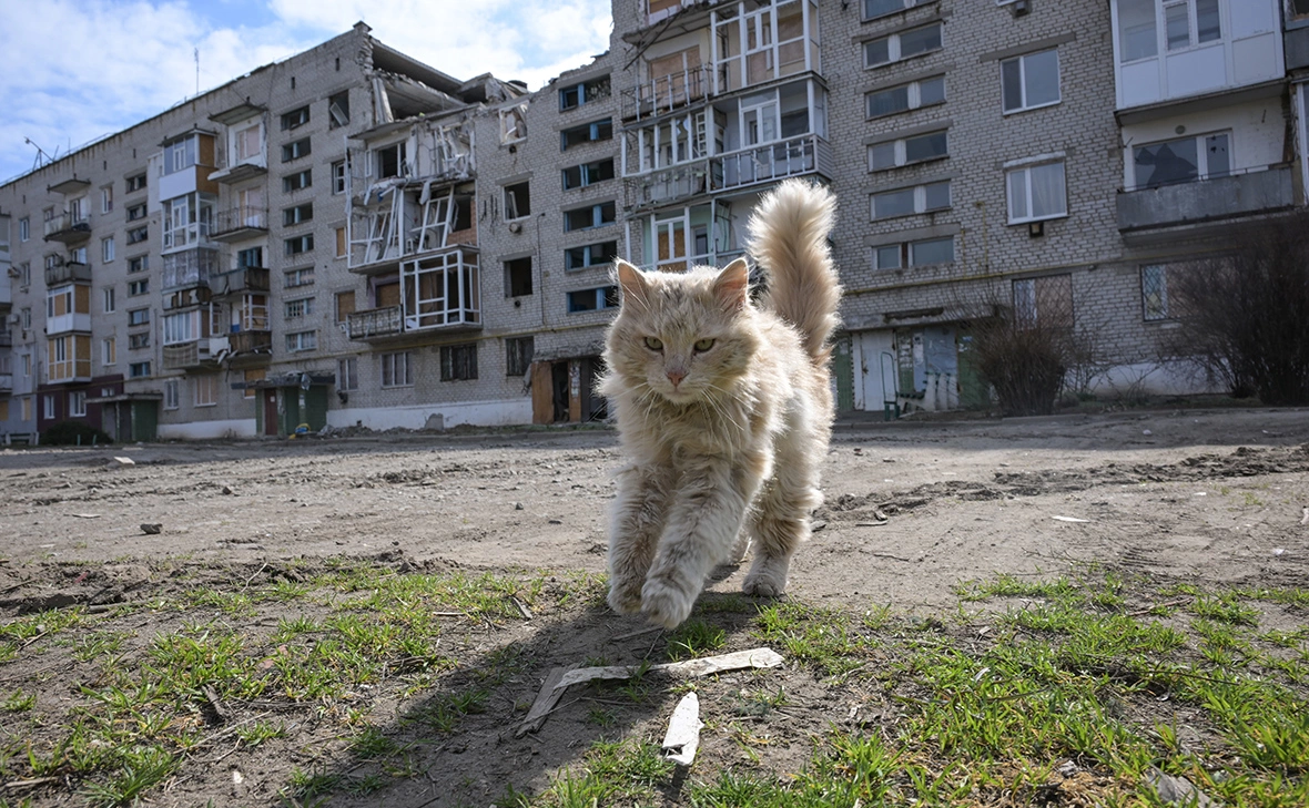 Константин Михальчевский / РИА Новости