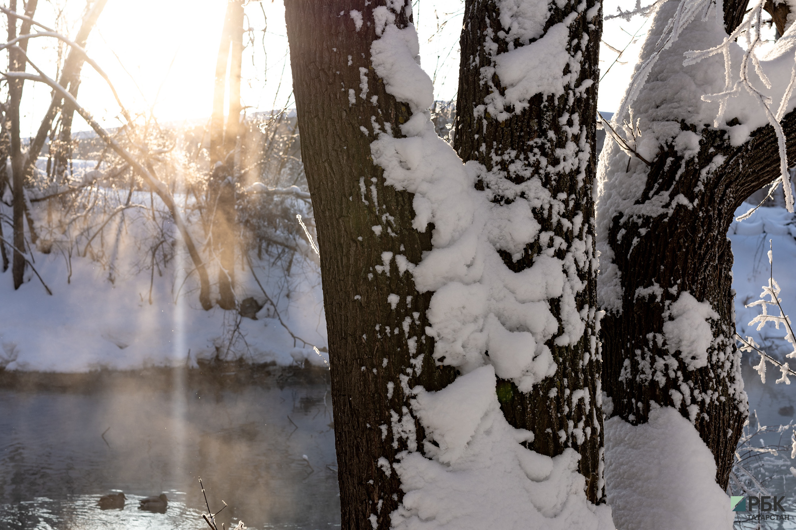 Синоптики прогнозировали Татарстану на выходные морозы и туман