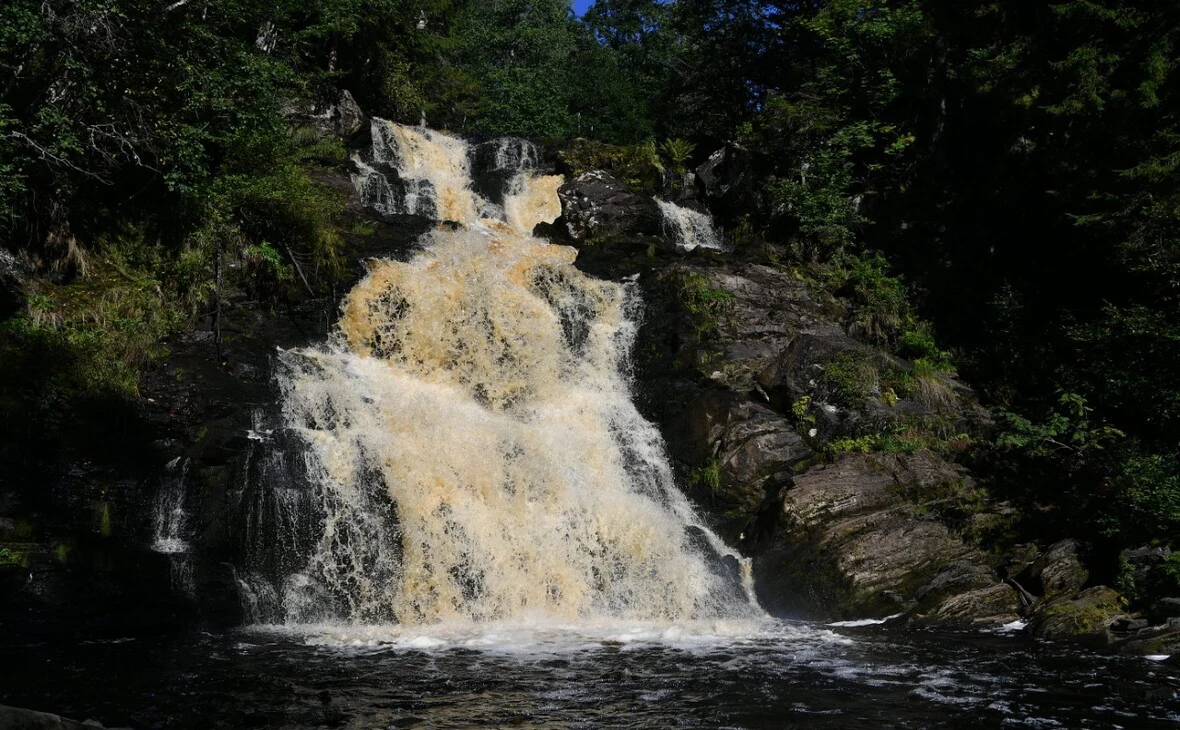 gov.karelia.ru