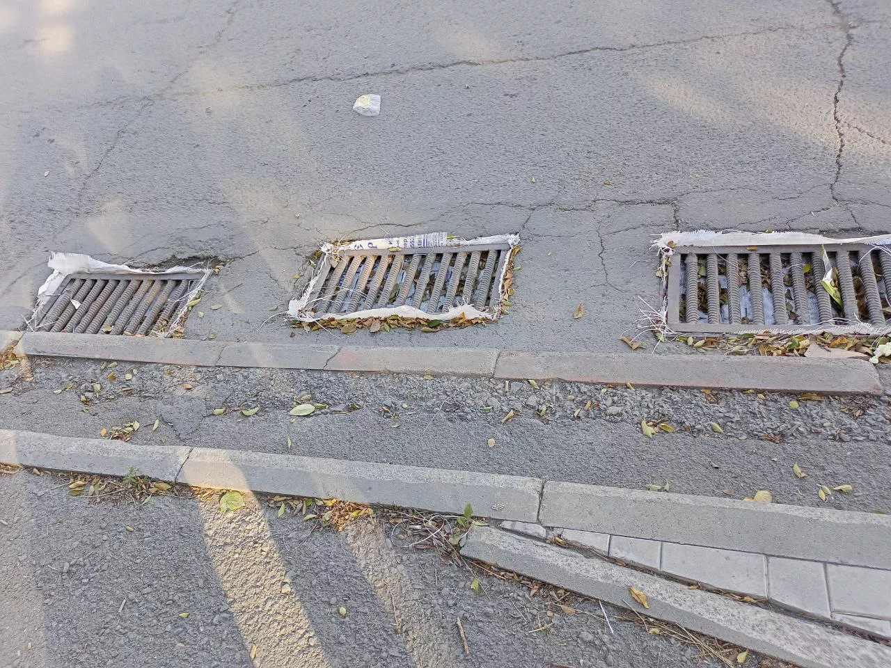 Алексей Коваленок / РБК Новосибирск