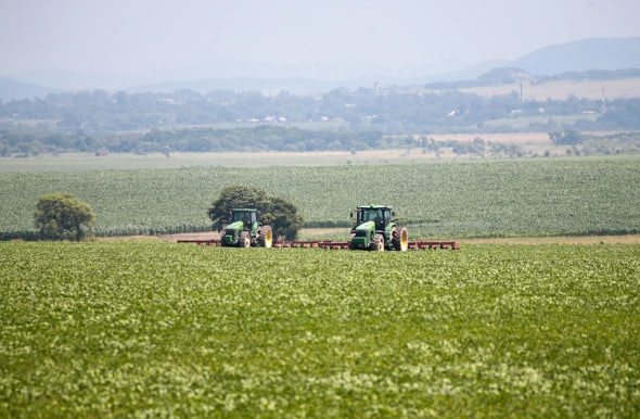 Фото: пресс-служба правительства Приморского края