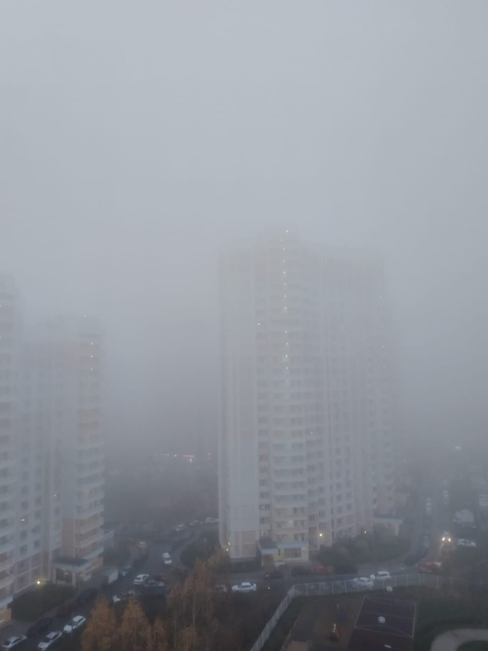 Фото: Александра Хмурковская / РБК