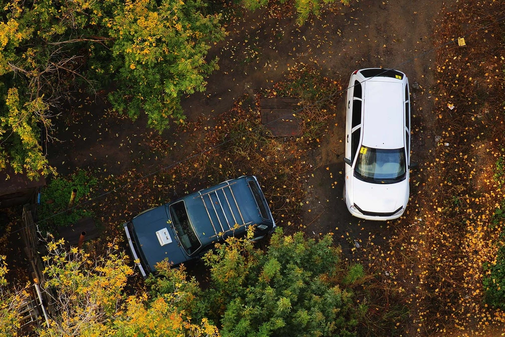 Юлия Майстренко / Om1