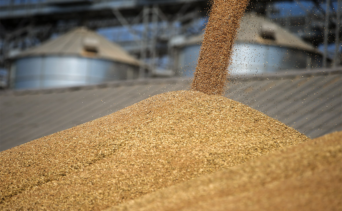 Рачаловский: за сезон 2021 года на Дону собрали рекордный урожай зерна