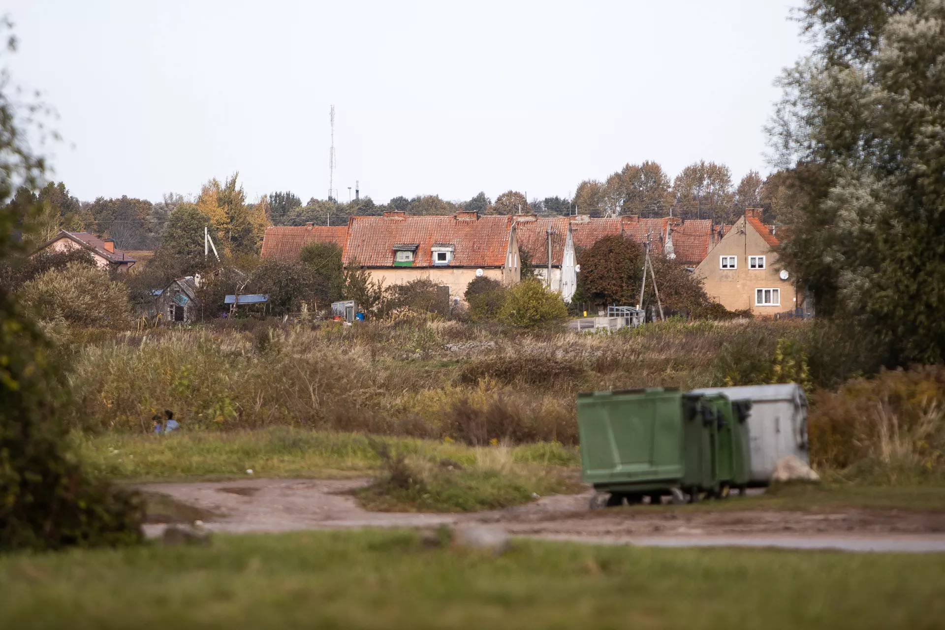 Александр Подгорчук