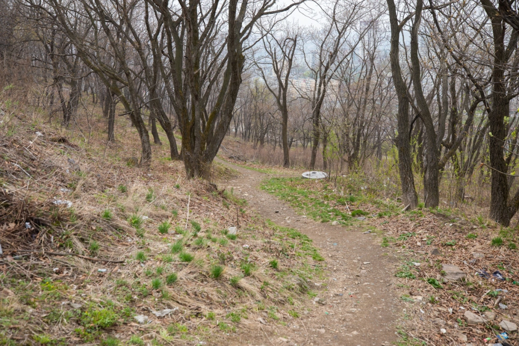 Пресс-служба администрации Владивостока