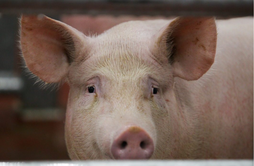 Екатерина Сычкова / URA.RU