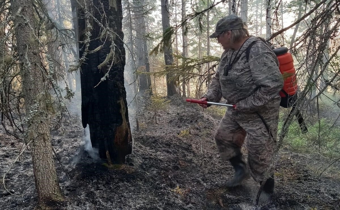 Фото: министерство природных ресурсов и экологии Карелии/ vk.com 