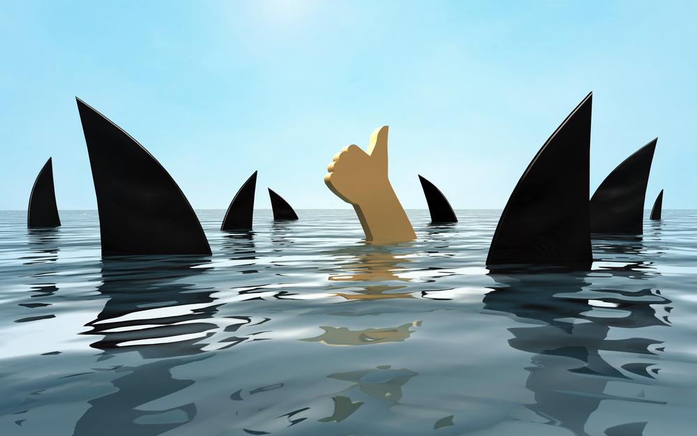 Фото: Shutterstock