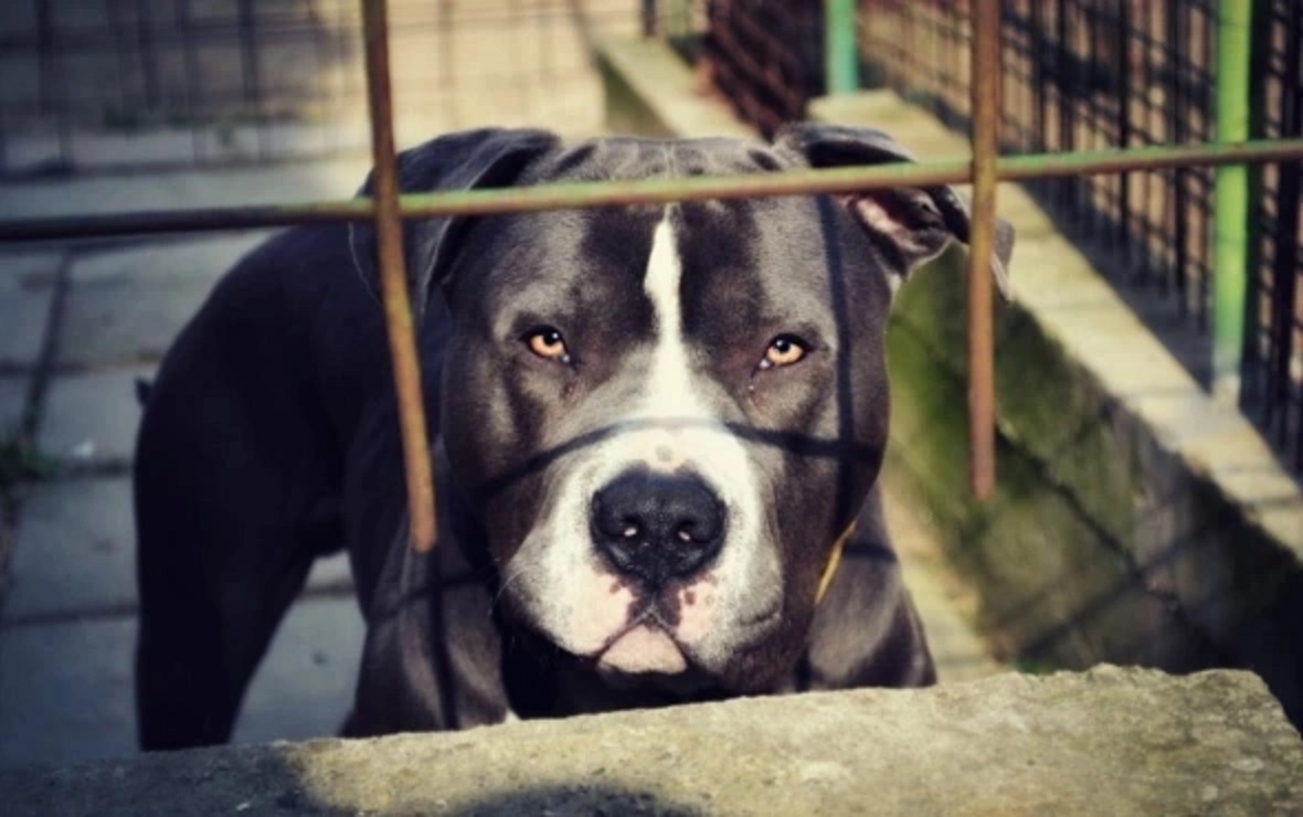 Фото:  pxhere.com