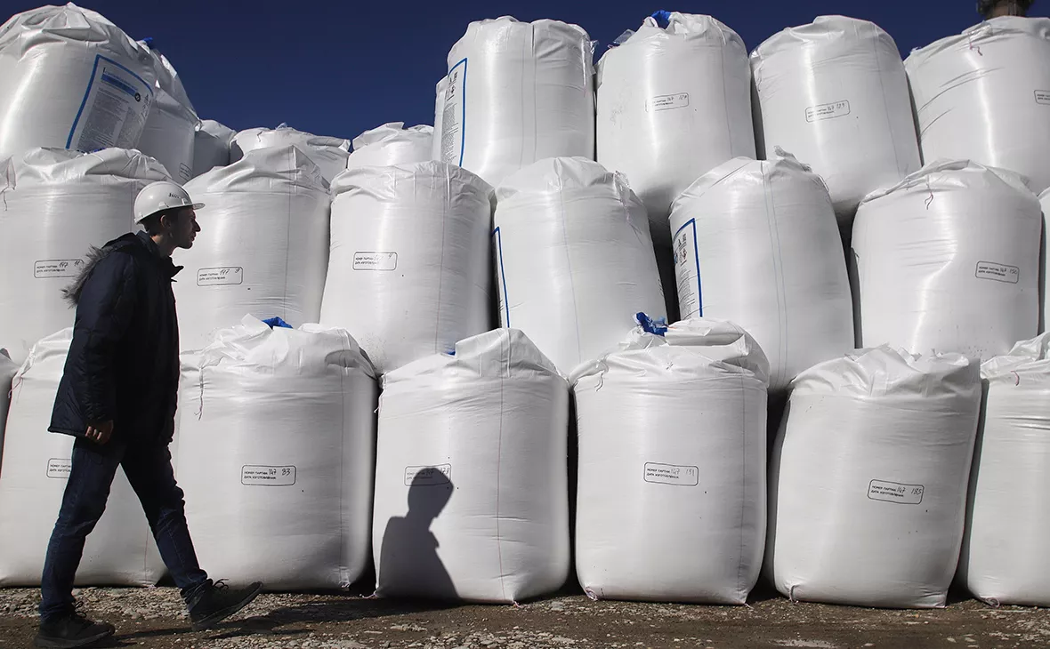 Денис Абрамов / РИА Новости