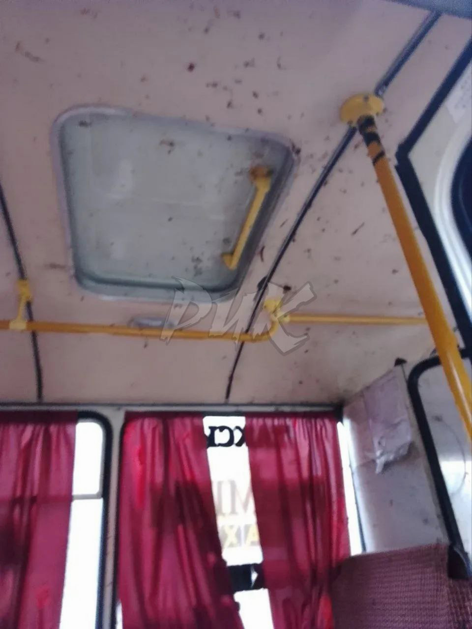 Фото: Prikhodko1970 / Telegram