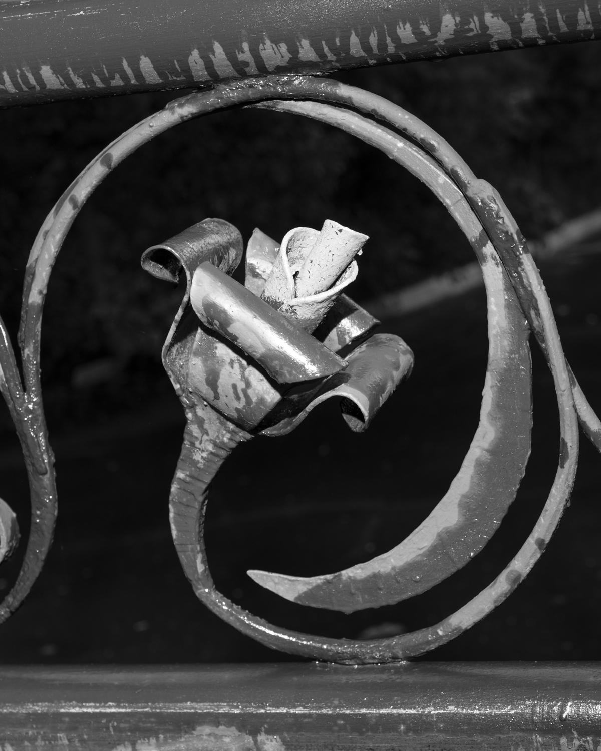 Полина Рукавичкина, Rose I