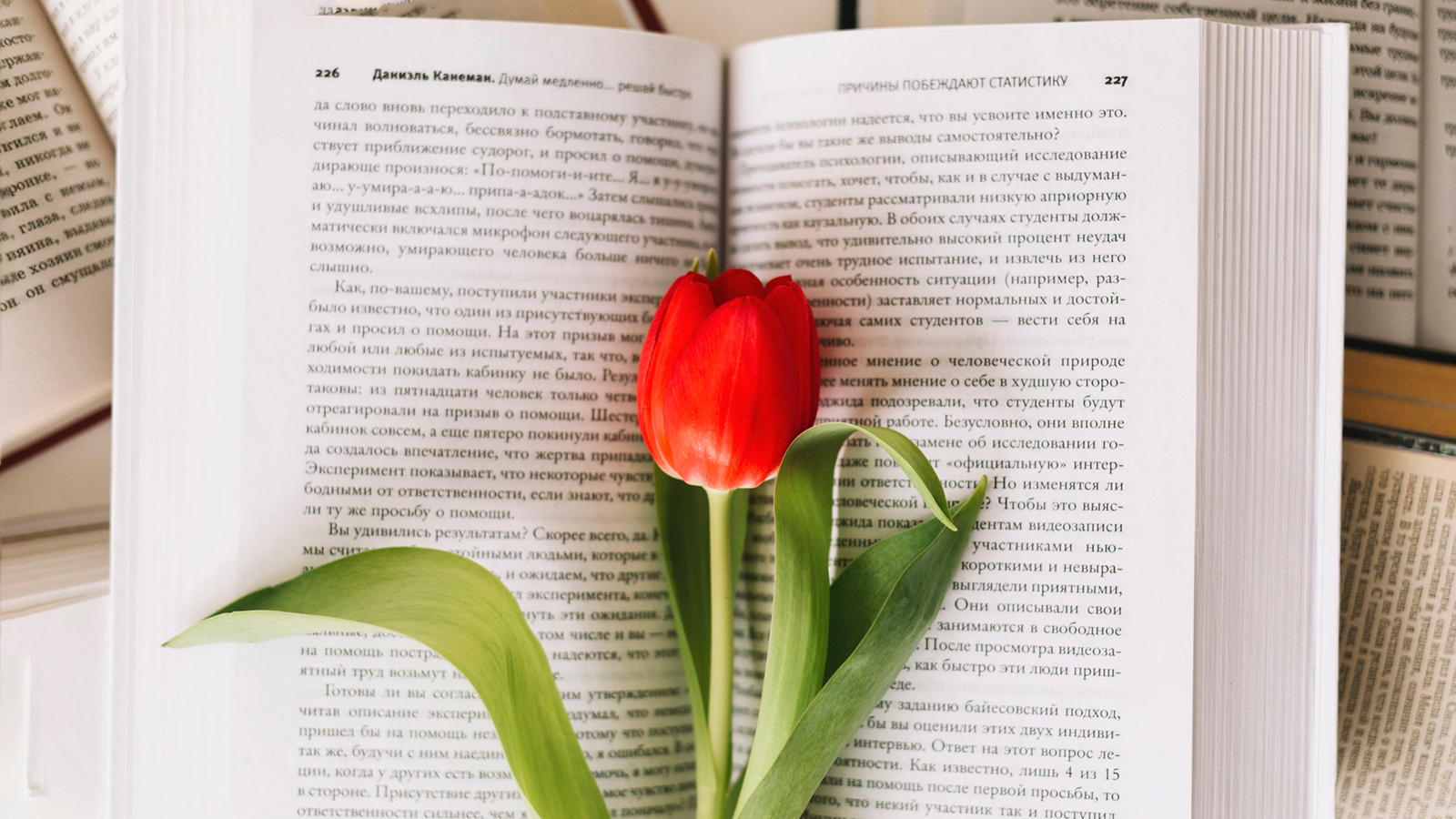 Что такое текст, какие у него есть признаки и из каких частей он состоит