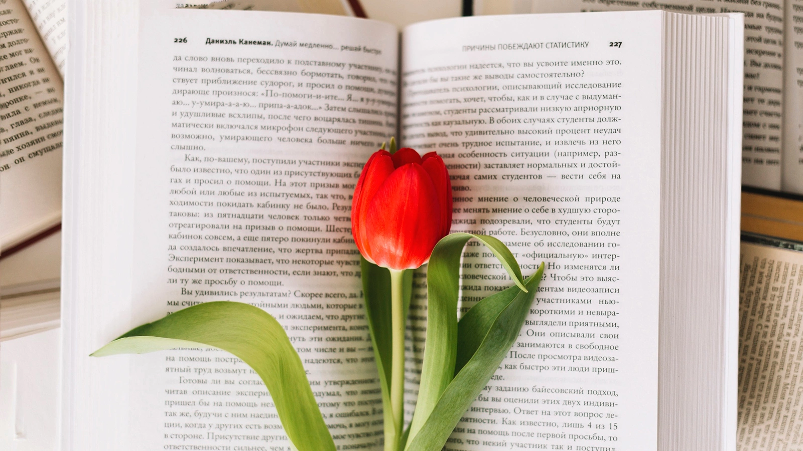 Что такое текст, какие у него есть признаки и из каких частей он состоит