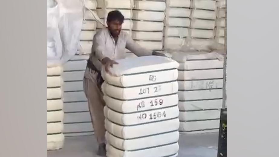 Афганистан начал поставлять в Россию хлопок